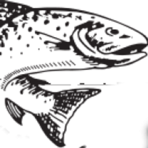 Angler Adventures - Logo
