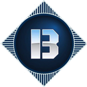 Blueline Builders and Construction Inc. - Logo