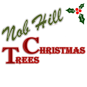 Nob Hill Christmas + Santaland - Christmas market in Portland