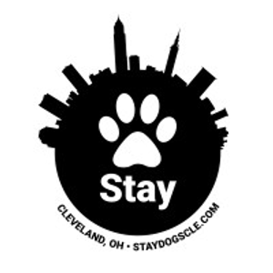 Stay. Dog Daycare, & Boarding
