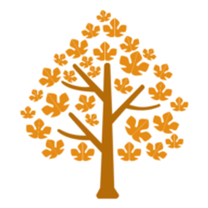 Acer Properties & Rentals - Logo