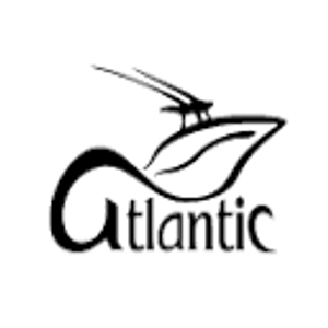 Atlantic Boat & Jet Ski Rentals - Logo