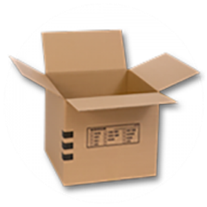 Absolute Moving Company