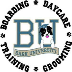 Bark University Inc