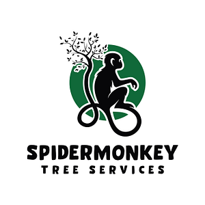 Spidermonkey Tree Services - Tree service in Lincoln
