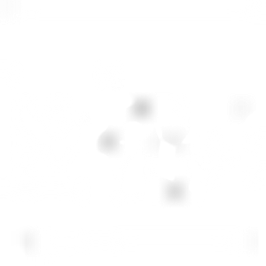 Chelsea Place Apartments - Logo