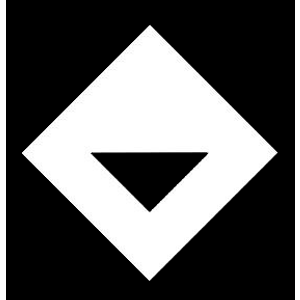 Perfect Image Detailing LLC