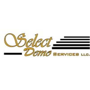 Select Demo Services - Logo