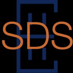 SDS Electric - Logo