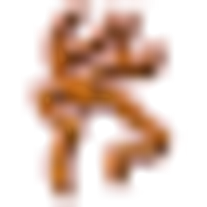Western Texas Land - Logo
