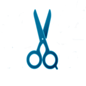 Pet Grooming Florida - Logo