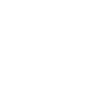 Maple Avenue Construction - Logo