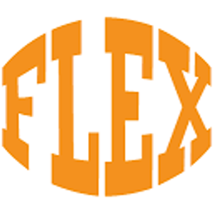 FLEX - Logo