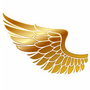 Crows Plumbing Service - Logo