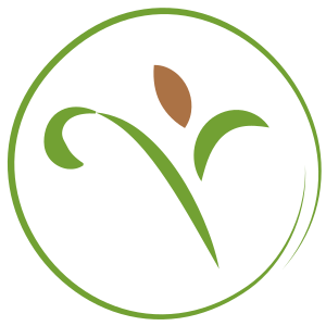 Palmetto Cosmetic Surgery and Aesthetics - Logo