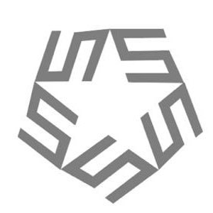 Silver Star Transportation - Logo