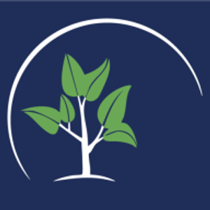 Plush Exterior Services - Logo