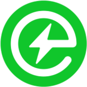 Expert Electric Group - Logo