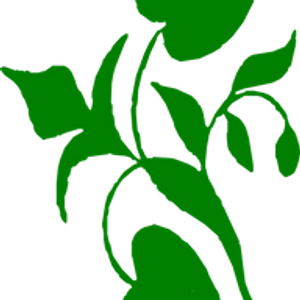 Plymouth Greene Dental