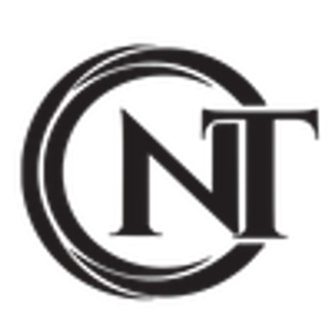 The Neilsen Team Western Mass - Hartford CT Realtors - Logo