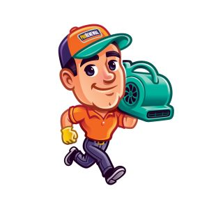 ProRenewal Restoration - Logo