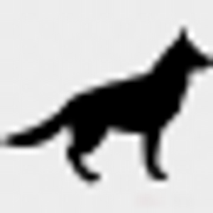 Amazing K9 Off Leash - Logo