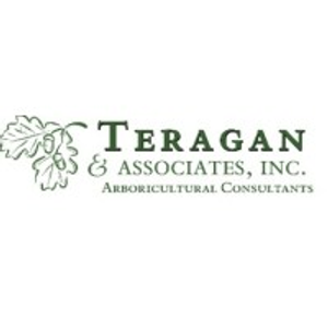 Teragan & Associates, Inc - Logo