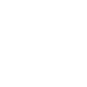 Chiocco Land Clearing & Excavating - Logo