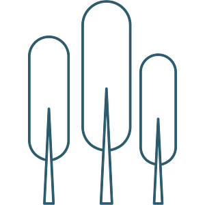 Charlotte Woods Apartments - Logo