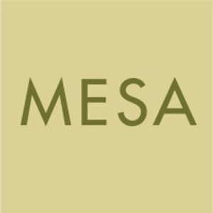 MESA Design Group - Logo