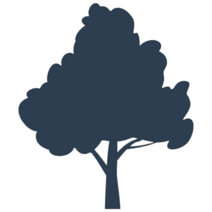 Tree Breeze Expert Tree Services - Logo