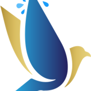 Kodesh Pro-Wash - Logo
