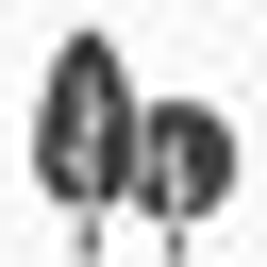 Waterbury Landscaping - Logo