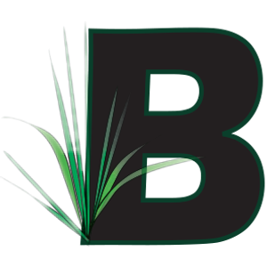 Beto's LawnCare
