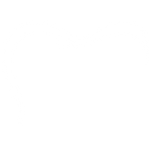 Dr. Brian R. Shafer, DDS - Logo