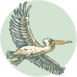 Flying Pelican Tours - Logo