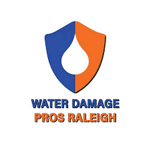 The Water Damage Pros Greensboro - Logo