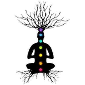 Integrated Soul Alchemy Massage & Wellness - Logo