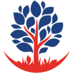 Patriot Outdoor Solutions