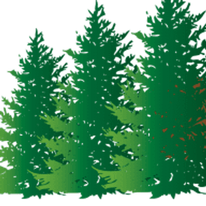 Prins Pruning & Tree Care - Logo
