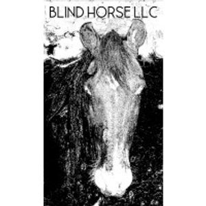 Blind Horse LLC - Logo