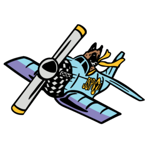 Jet Set University