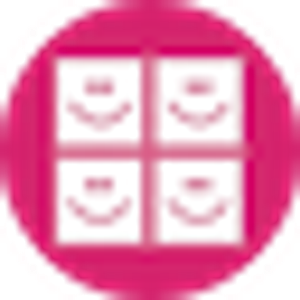 WE DO WINDOWS, Inc