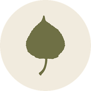 Populus