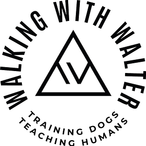 Walking With Walter Dog Training