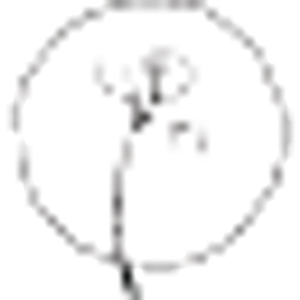 Well Woman Acupuncture - Logo