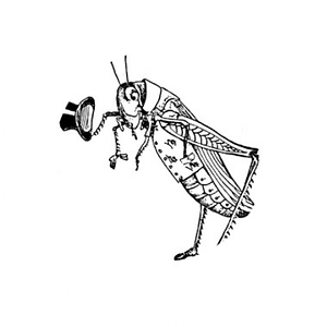 Grasshopper Roofing Inc