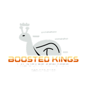 Boosted Outdoor Services - Logo