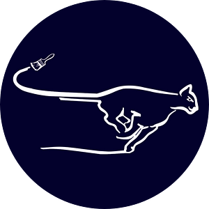 Cougar Painting LLC - Logo