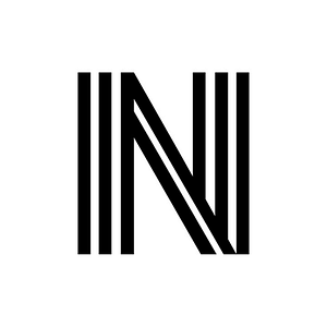 Nielsen Property Group - Logo